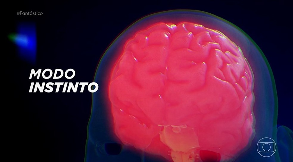 Foto:Reprodução