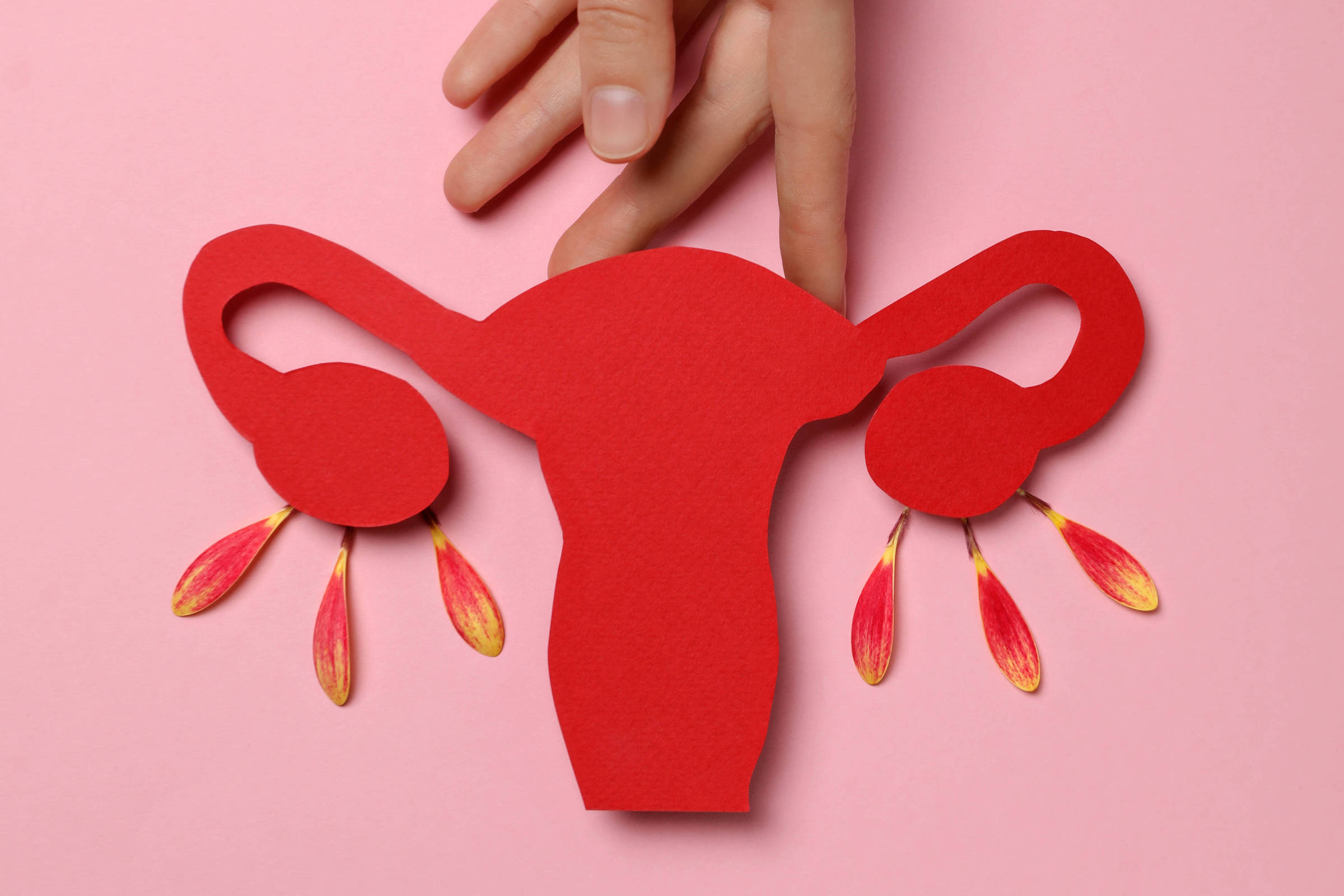 Métodos naturais de contracepção e fertilidade oferecem alternativas às técnicas artificiais Métodos contraceptivos e de fertilidade naturais consistem em conhecer e observar o próprio ciclo menstrual (Foto: Freepik)