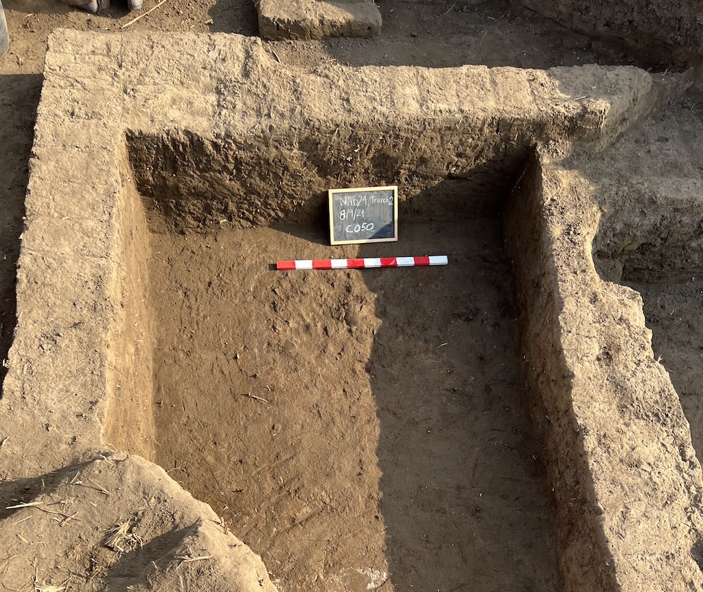 Equipe britânica descobre cidade perdida no Delta do Nilo com templo e comércio Camada de tijolos de barro e uma parede de fundação na trincheira de escavação em Tell al-Faraun. (Foto: Hamada Hussein)