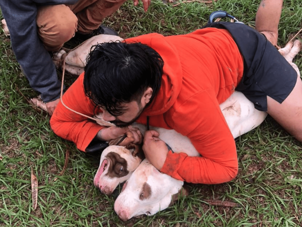 Lutador de muay thai enfrenta e controla pitbulls durante ataque em MS Ernesto teve ferimentos nas duas pernas (Foto: Arquivo pessoal/Ernesto Chaves)