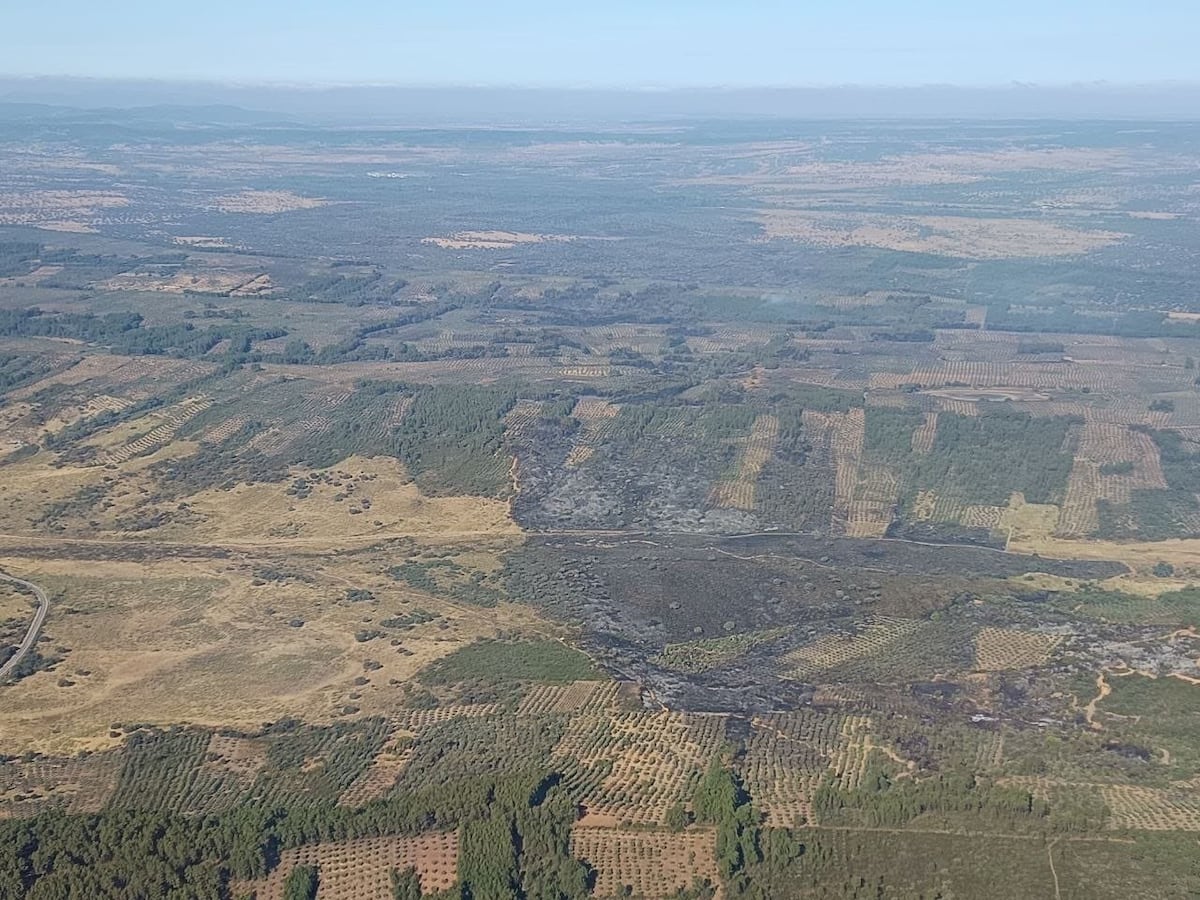 Espanha enfrenta alto risco de incêndios enquanto combate chamas em várias regiões Incêndio localizado no término municipal de Valdecaballeros (Badajoz). (Foto: JUNTA DE EXTREMADURA)