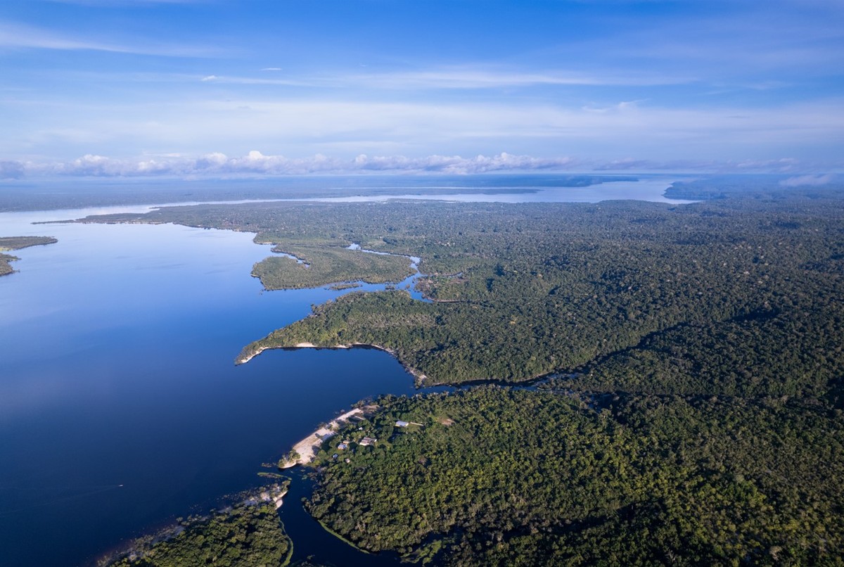 Sobreposição de terras impede avanço de projetos de crédito de carbono no Brasil Área com projetos de crédito de carbono na Amazônia (Foto: Fred Rahal & Idesam/Divulgação)