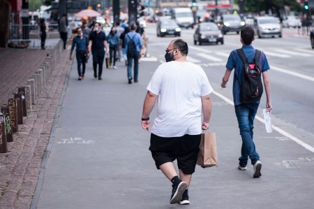 Excesso de gordura intensifica processos inflamatórios que desencadeiam alterações metabólicas, agravando a perda muscular (Foto: Léo Ramos Chaves/Pesquisa FAPESP)
