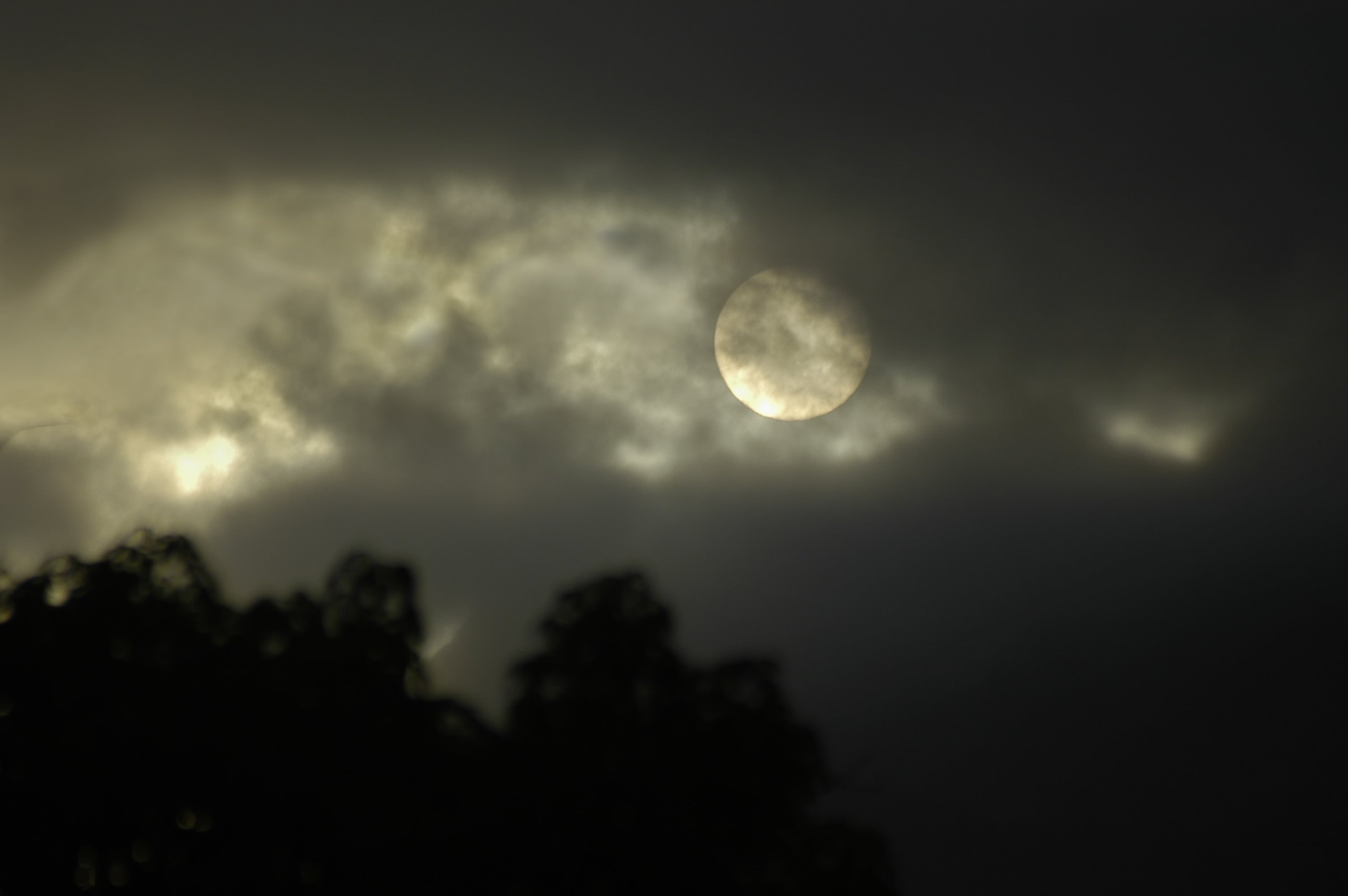 Lua do Veado ilumina o céu em julho; saiba como observar o fenômeno astronômico Lua do Veado: fenômeno astronômico será visível em todo o país na noite desta quinta-feira (Foto: Ze Martinusso/Getty Images)