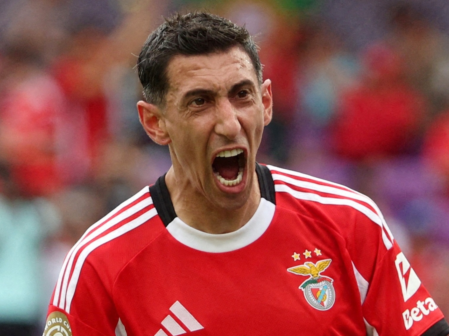Argentina se destaca na artilharia do Mundial, com Brasil em segundo lugar Di María comemora gol marcado pelo Benfica contra o Auckland City no Mundial (Foto: NATHAN RAY SEEBECK/IMAGN IMAGES via Reuters)