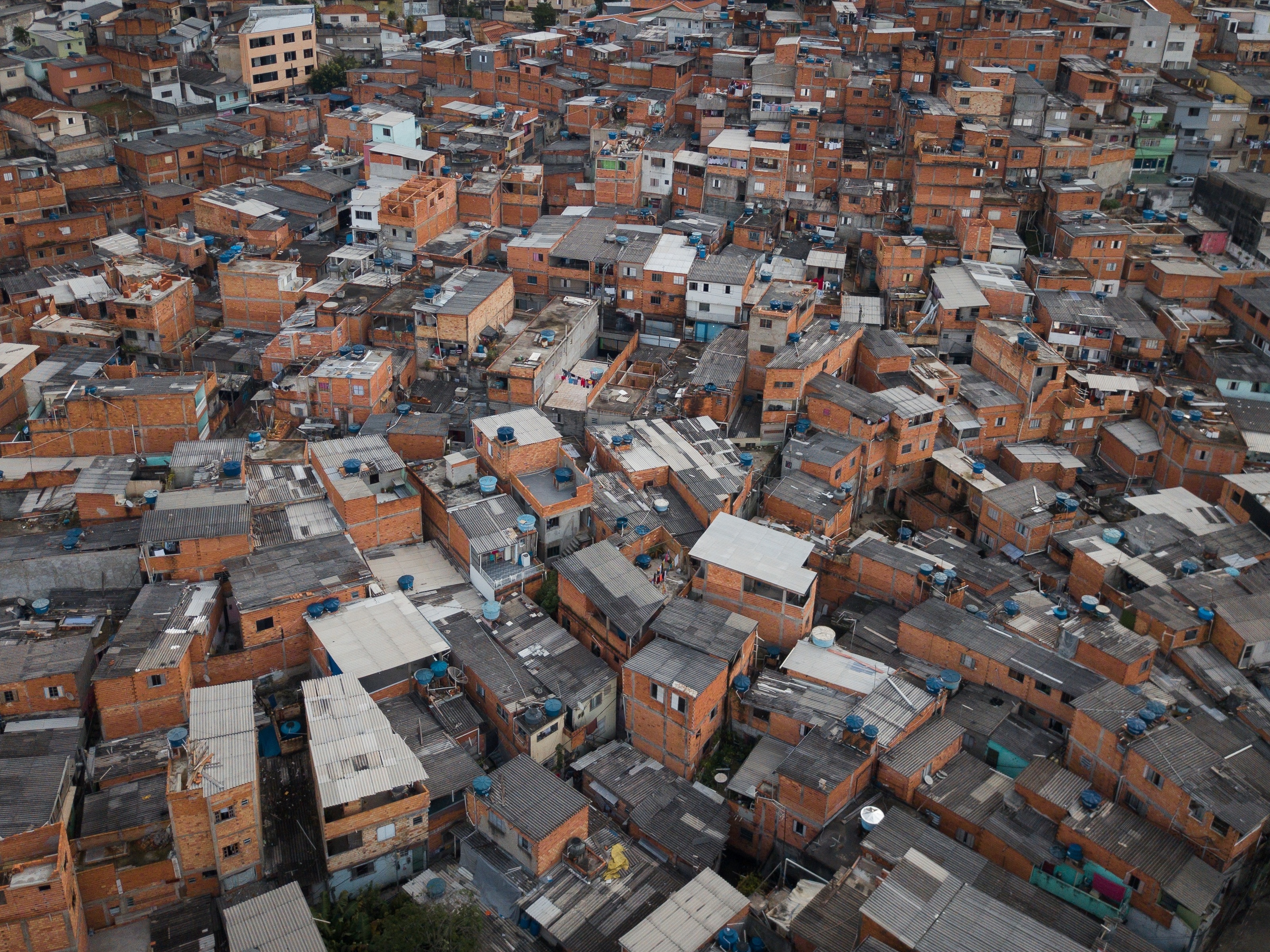 Foto:Reprodução