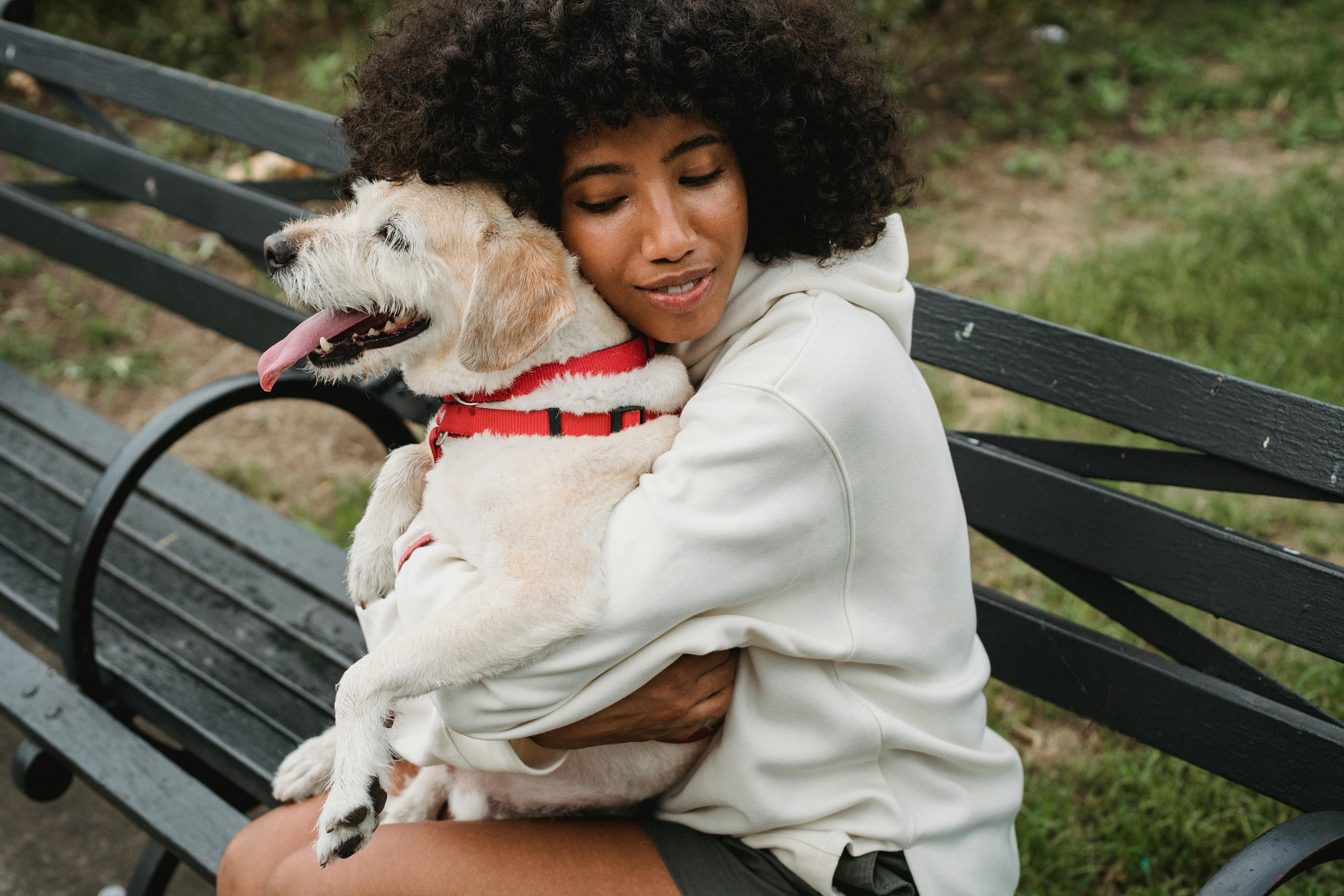 Cães-guia e animais de suporte emocional: cuidados essenciais para bem-estar Foto: Reprodução
