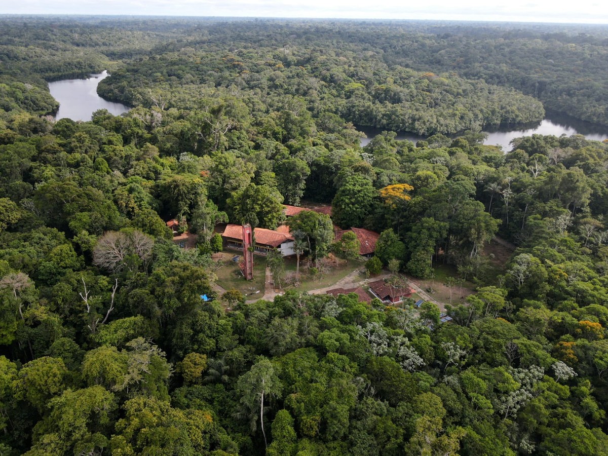 Foto:Reprodução