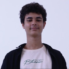 Pedro Menezes